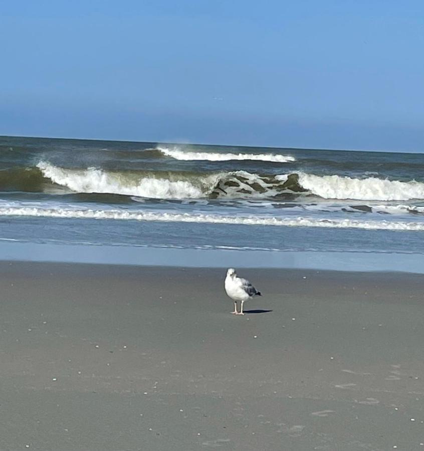 De Cel Nes (Ameland, Friesland) Exterior foto