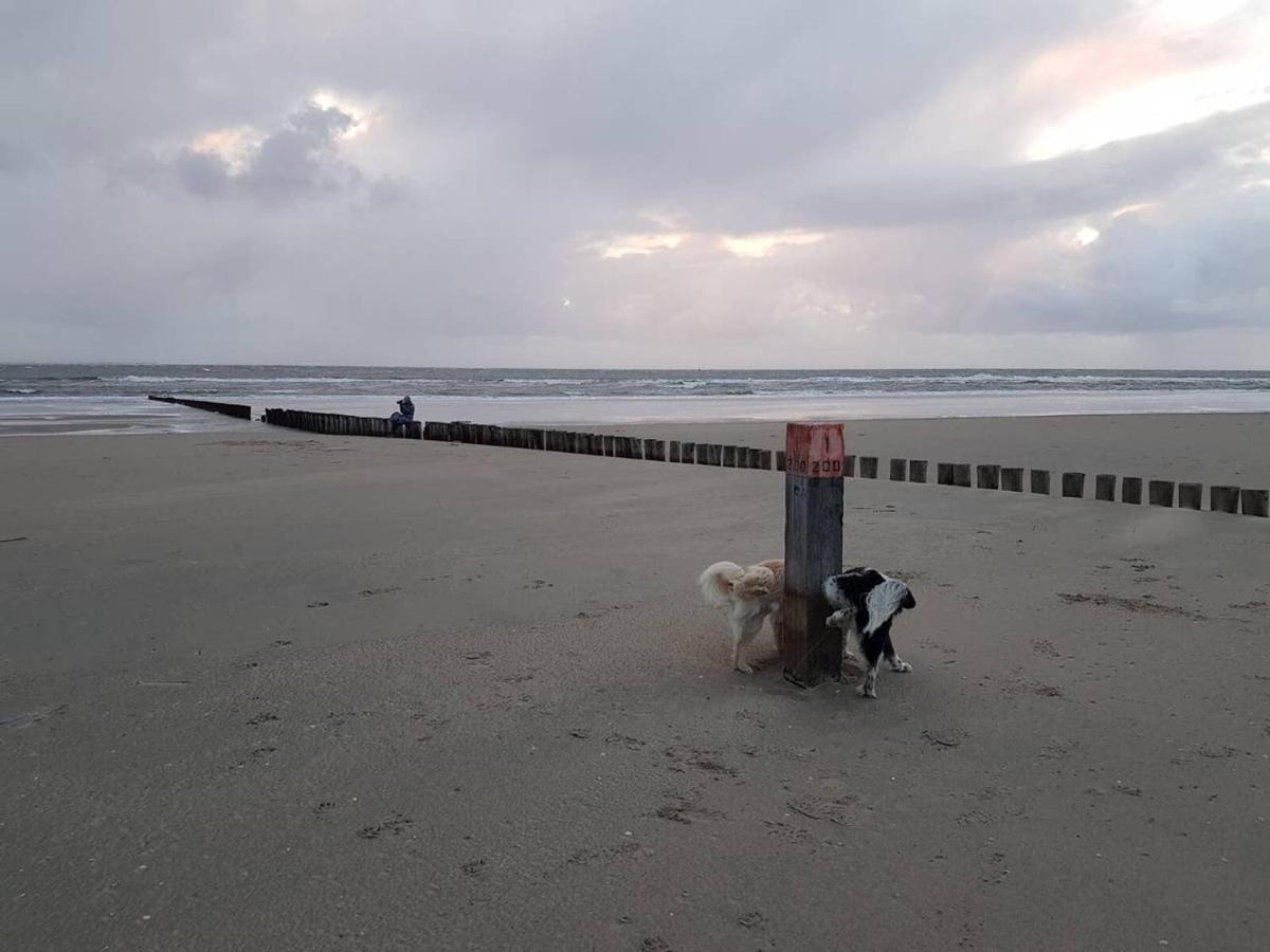De Cel Nes (Ameland, Friesland) Exterior foto